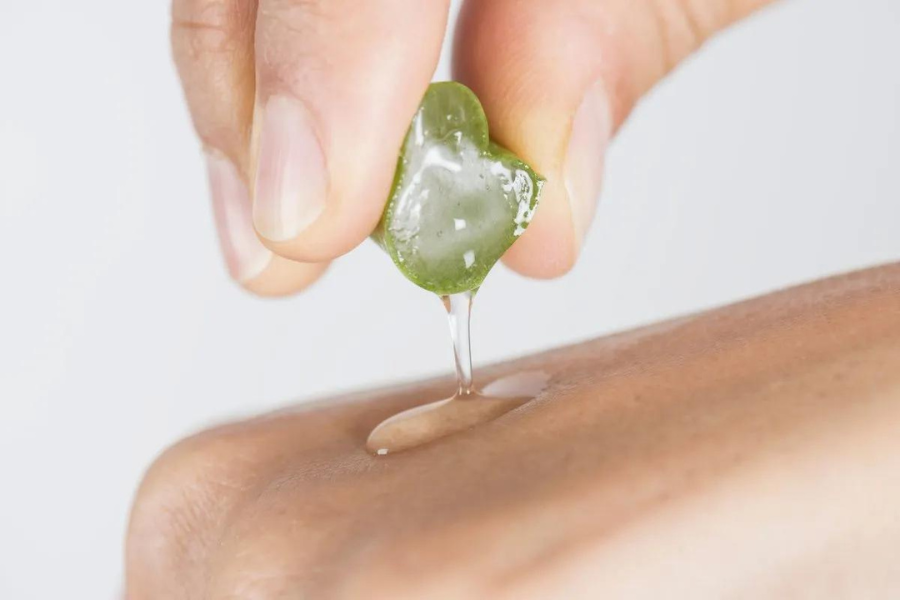 tanaman obat untuk luka